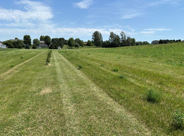 000 Industrial Drive, Ida Grove, IA 51445