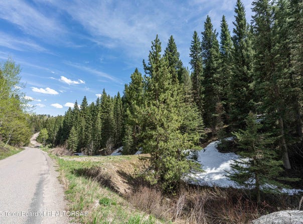 6600 W PAINTBRUSH Trail, Wilson, WY 83014