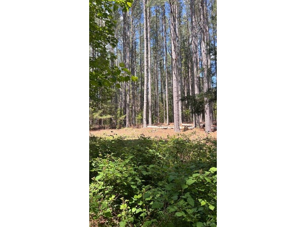 4 Foxfire Lane, Bedford, VA 24523