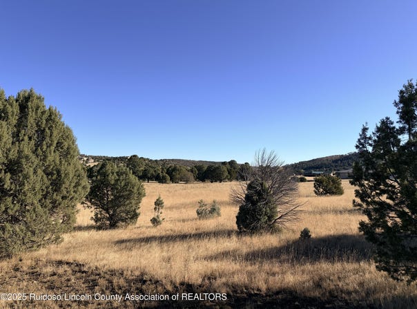 270A Saddleback Road lot: 270A, Alto, NM 88312