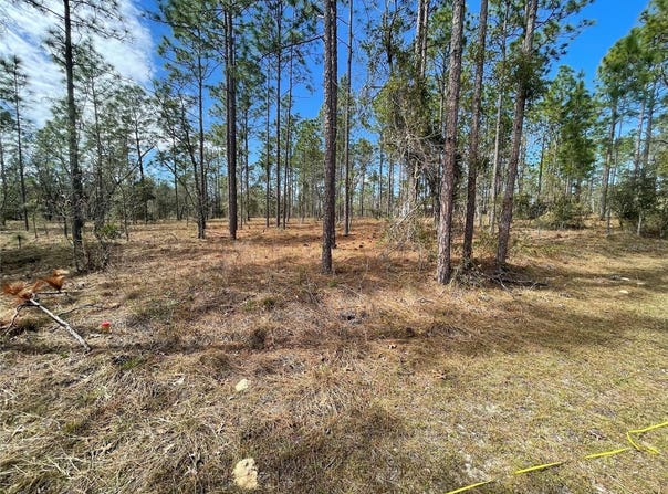 133RD AVE SE, DUNNELLON, FL 34431