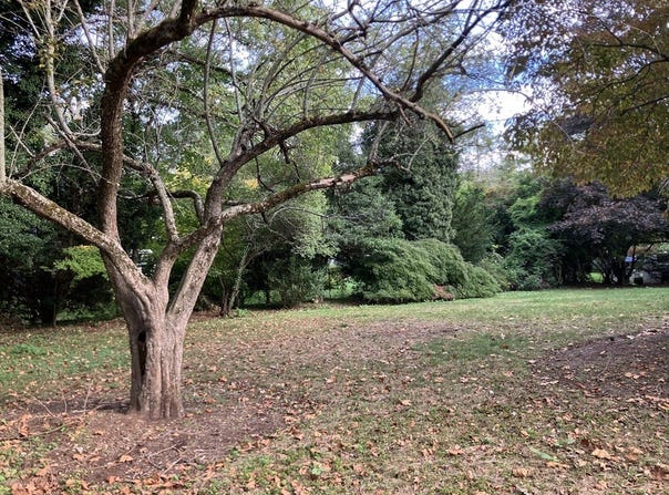 Glenoe Rd, Brookline, MA 02467