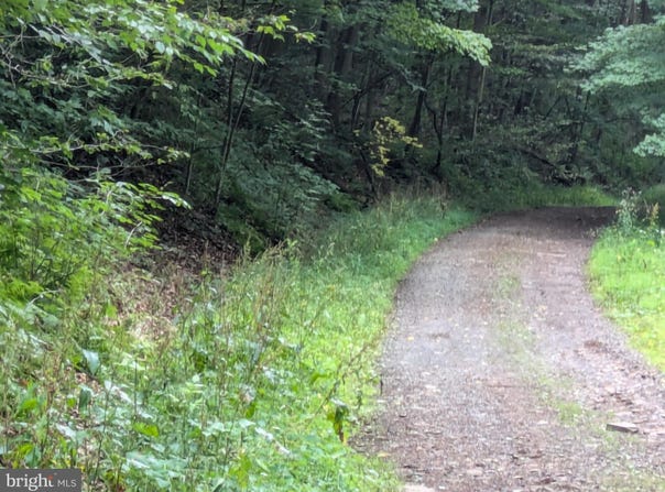 0 BERKEY HOLLOW ROAD, ALUM BANK, PA 15521