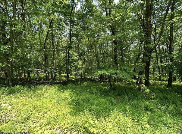 E Alpine Drive lot: 94, Terra Alta, WV 26764