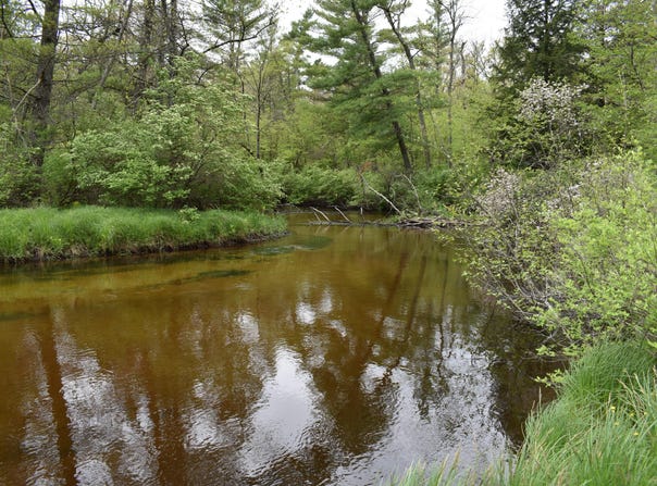 00 S Ever Blooming Drive, Baldwin, MI 49304