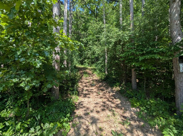 V/L North Avenue, Bellevue, MI 49021