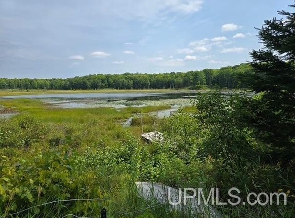 N14219 Newberg, Channing, MI 49815