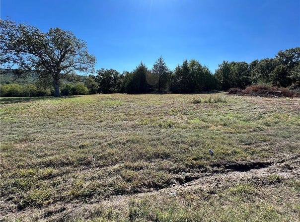 Tract 4 Highway 170, Farmington, AR 72730