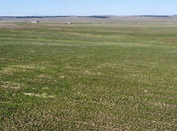 5 County Rd 125, Deer Trail, CO 80105