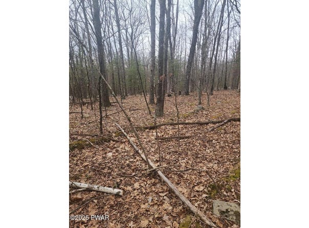 Lot 341 Timber Ridge Drive, Hawley, PA 18428