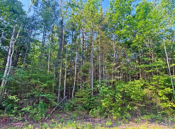 342 & 343 Northland Heights Drive, Presque Isle, MI 49777
