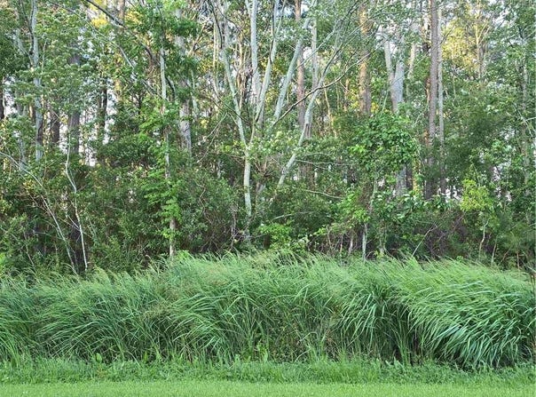 104 Spindrift Trail, Elizabeth City, NC 27909