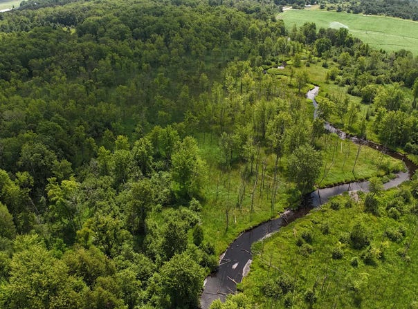 11235 W Rosebush Road, Weidman, MI 48893