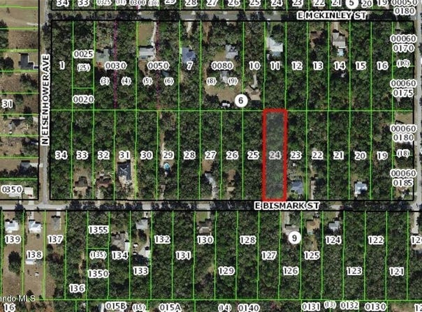 1191 E Bismark Street, Hernando, FL 34442