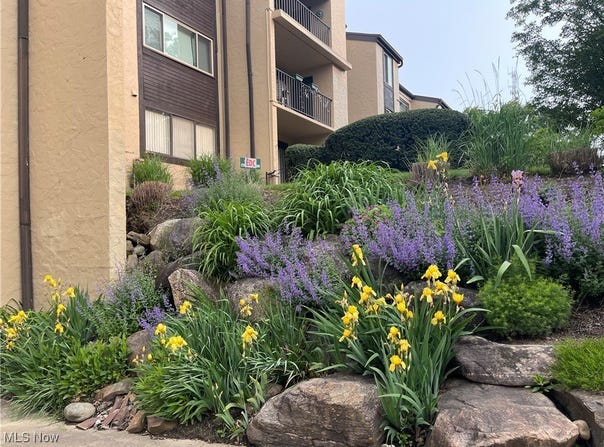 171 Court Drive unit: 104, Fairlawn, OH 44333