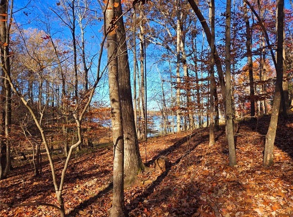 Bertha Allen Road lot: 1&2, Westminster, SC 29693