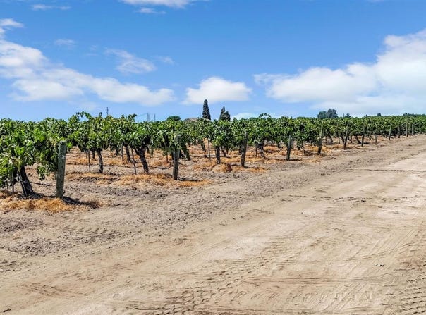 0 Avenue 13, Madera, CA 93637