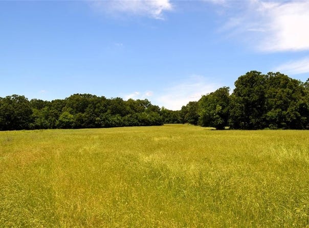0 County Road, Eustace, TX 75124