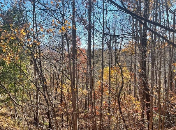 Lot 41c Ash Branch Circle, Hayesville, NC 28904
