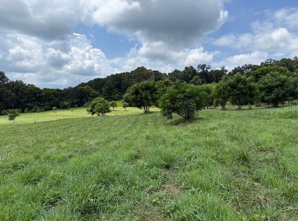 11311 Alabama Hwy 9, Cedar Bluff, AL 35973