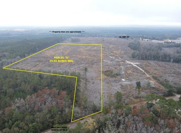 24 acres Goat Hill Rd., Samson, AL 36477