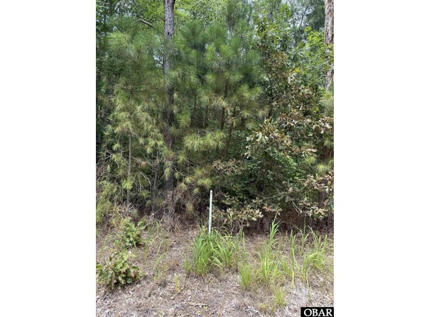 TBD Boat Ramp Road, New Hope, NC 27944