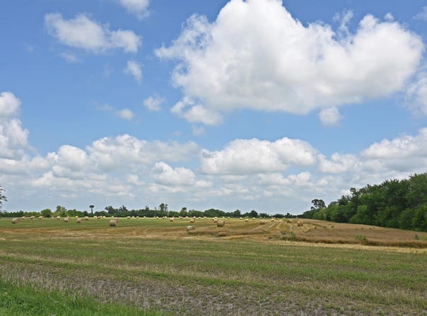 County RD P33 Parcel #890028994, Blair, NE 68008