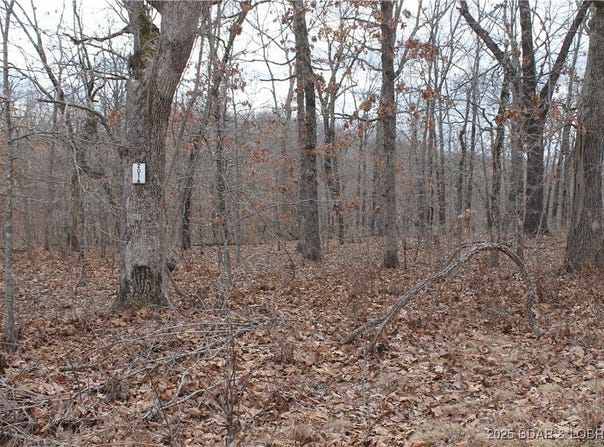 Ferro Lane, Edwards, MO 65326