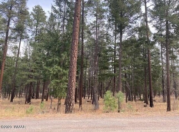 000 COUNTY ROAD 2196, Alpine, AZ 85920