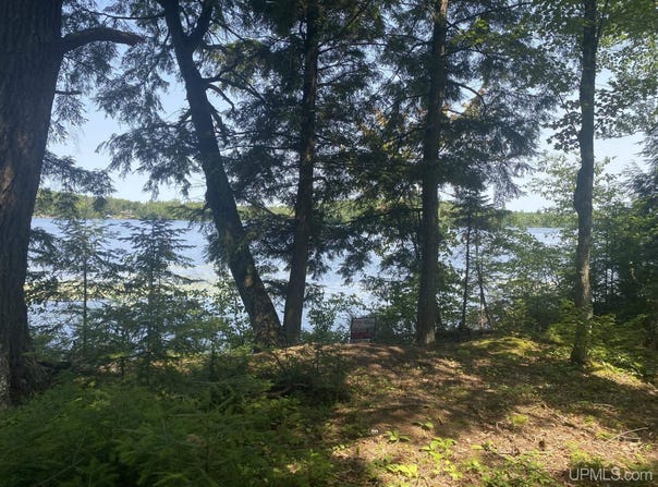 TBD EN-A-WEN-DA-WIN, Watersmeet, MI 49969