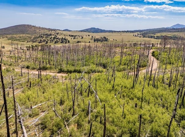 Korlkoff Ln lot: 1925, Fort Garland, CO 81133