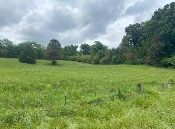 Peyton Road, COLDWATER, MS 38618