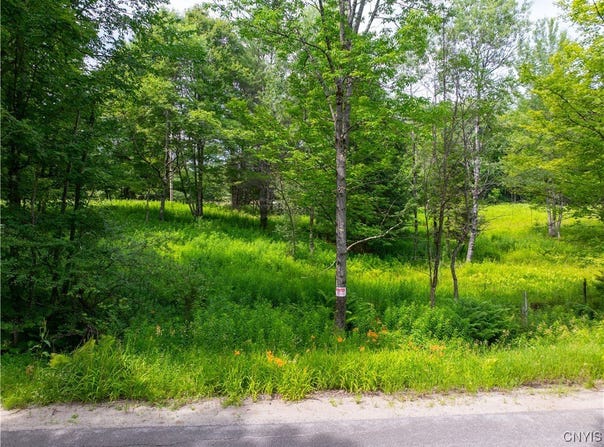 Hadcock Road, Stratford, NY 13470