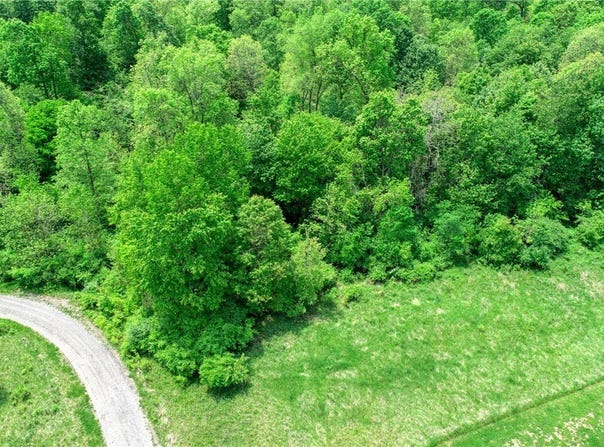 63600 Wintergreen Road, Lore City, OH 43755