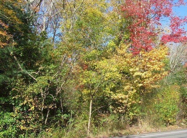 0 Elm St, Hanover, MA 02339
