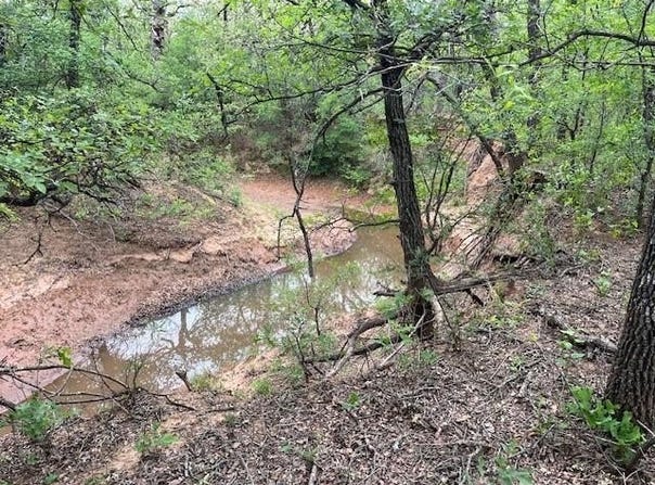 W. 23 Hoffman Road, Loving, TX 76460