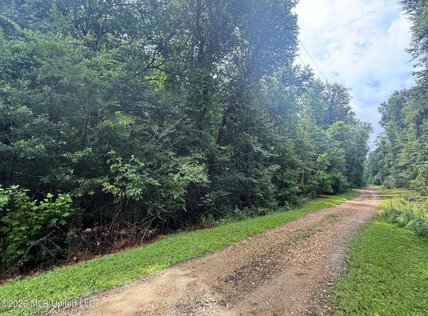 3042 Brandi Road, Summit, MS 39666