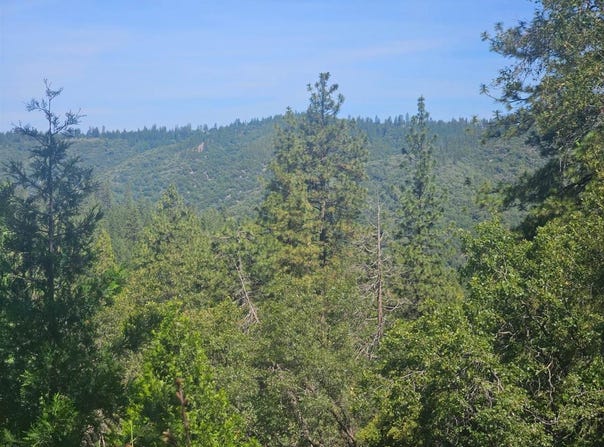 5148 Wylderidge Dr, Murphys, CA 95247