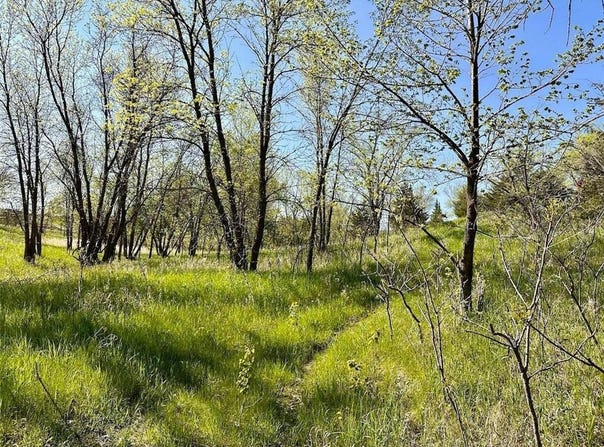 Xxx US-71, Little Sauk Twp, MN 56378