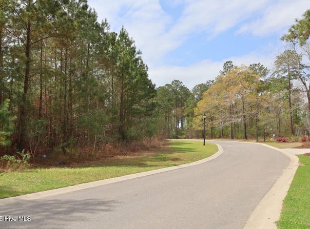9319 Fallen Pear Lane NE, Leland, NC 28451