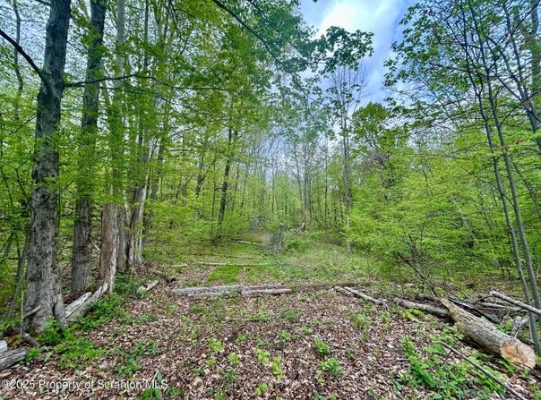 0 Maile Road, Greenfield Twp, PA 18407