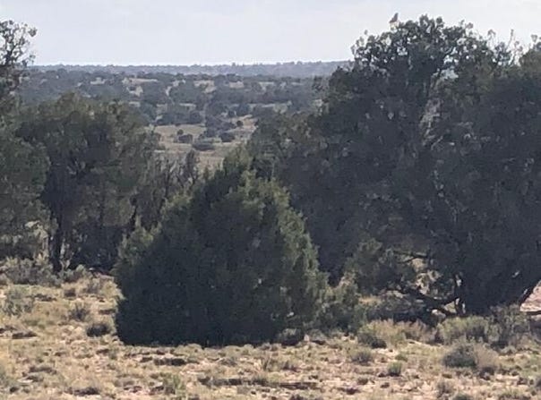 Tbd WICKED SISTERS, Concho, AZ 85924