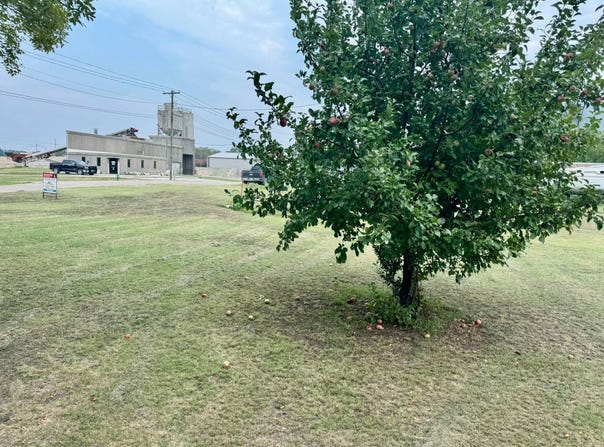 504 W 3rd, Concordia, KS 66901