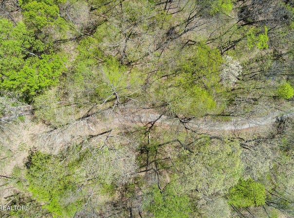 Pawnee Lane, Jamestown, TN 38556