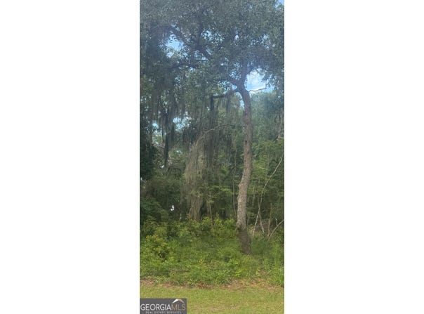 V/L 500 Storey, St. Marys, GA 31558