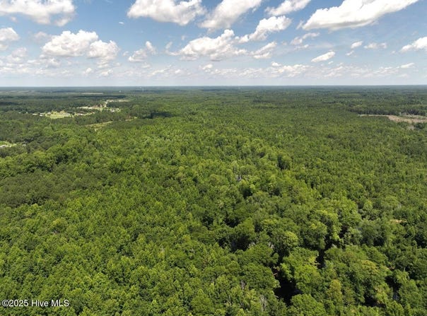 5799 Tolarsville Road, Saint Pauls, NC 28384