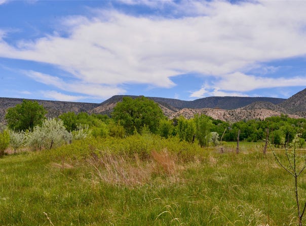 Lots 1 & 2 off of CR-162, Abiquiu, NM 87510