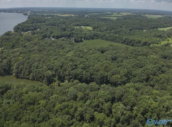49.59 +/- Acres Snake Road, Athens, AL 35611