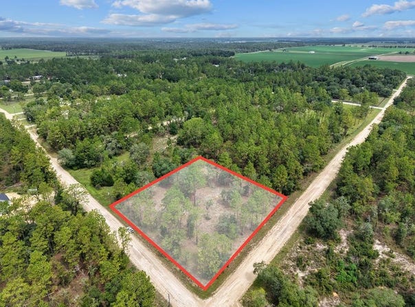 610 134th Ct, Williston, FL 32696