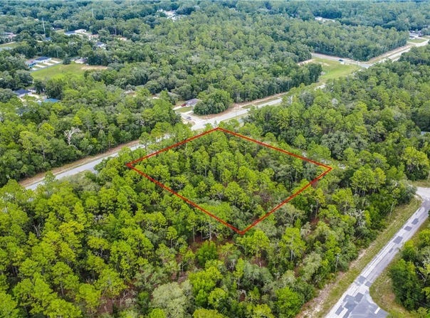 1287 W Evergreen Drive, Citrus Springs, FL 34434